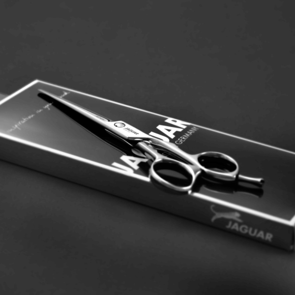 Ножницы парикмахерские Jaguar Silver Line Xena, 6.0"
