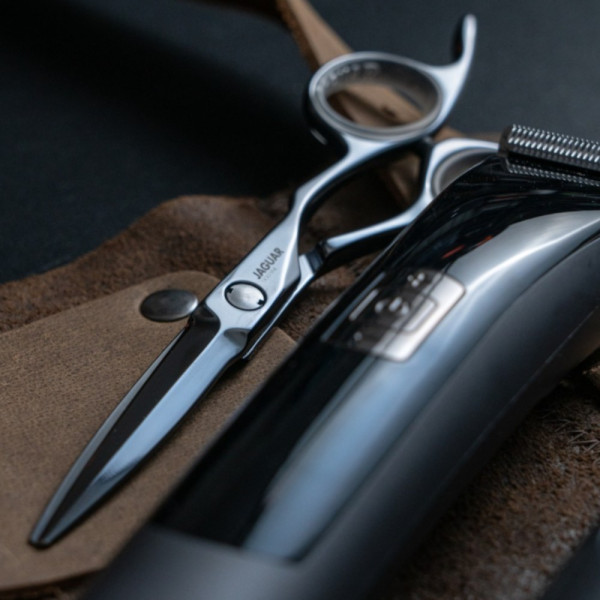 Ножницы парикмахерские Jaguar Gold Line Heron, 6.0"
