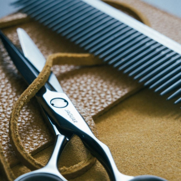 Ножницы парикмахерские Jaguar Gold Line Heron Titan, 6.0"