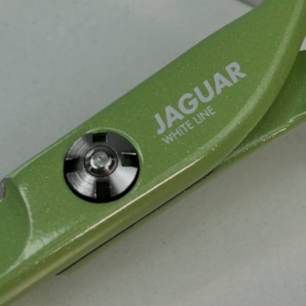 Ножницы парикмахерские Jaguar White Line Pastell Plus Matcha, 5.5"