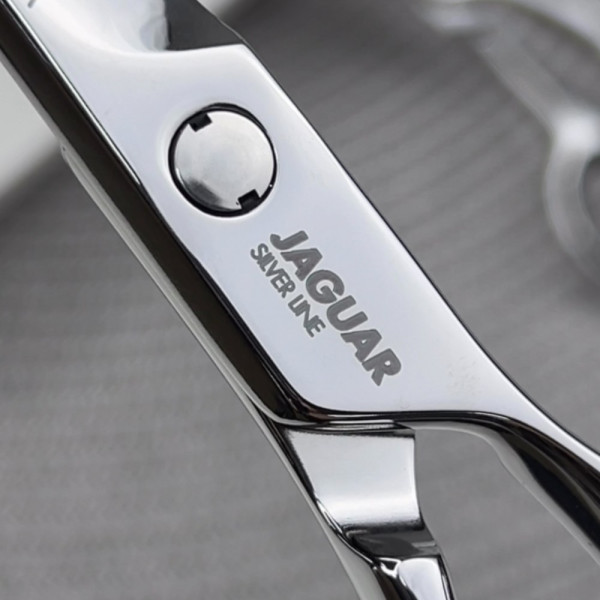 Ножницы парикмахерские Jaguar Silver Line Xena, 6.0"