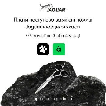 Возможность оплаты частями в Jaguar.
